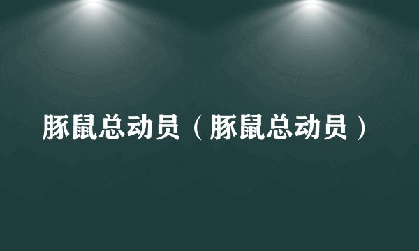 豚鼠总动员（豚鼠总动员）