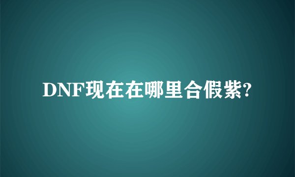 DNF现在在哪里合假紫?