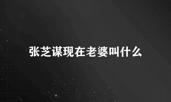 张芝谋现在老婆叫什么