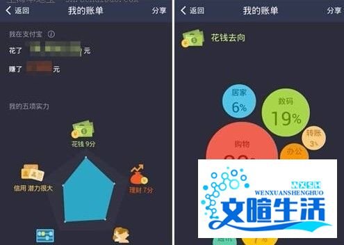 支付宝10年生活账单