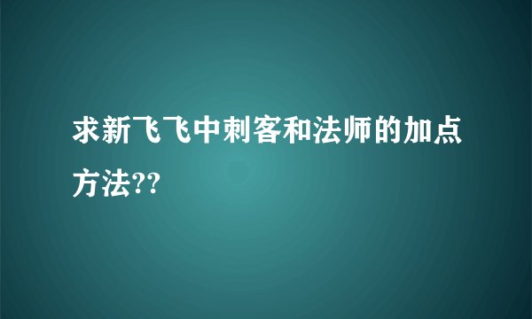 求新飞飞中刺客和法师的加点方法??