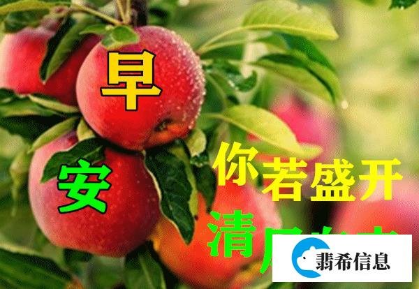 2021年非常阳光早安问候语 创意又美好的早上好图片大全带字合集