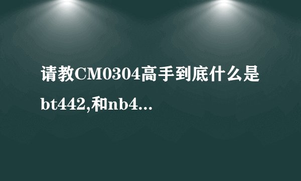 请教CM0304高手到底什么是bt442,和nb433啊??
