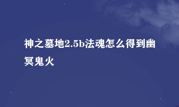 神之墓地2.5b法魂怎么得到幽冥鬼火