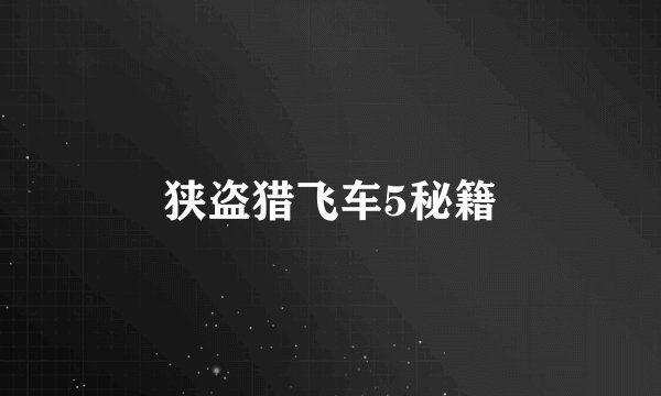 狭盗猎飞车5秘籍