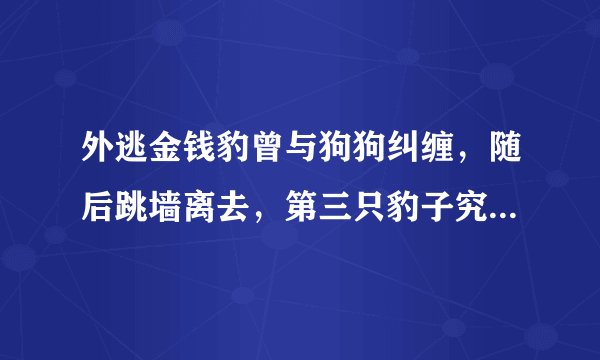 外逃金钱豹曾与狗狗纠缠，随后跳墙离去，第三只豹子究竟身在何方？