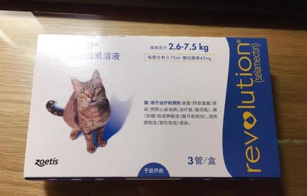 宠物驱虫方案应对,大宠爱和博来恩哪个好?