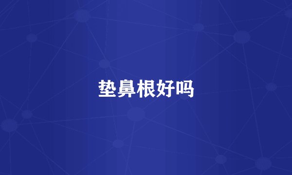 垫鼻根好吗