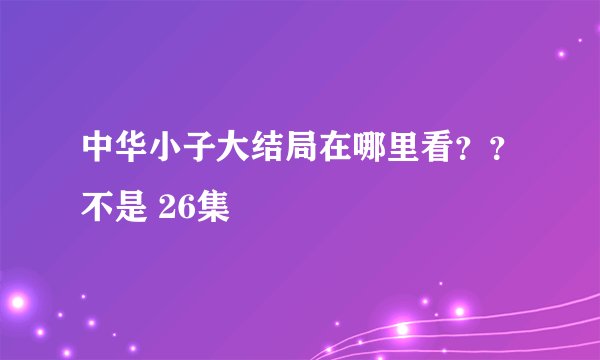 中华小子大结局在哪里看？？不是 26集