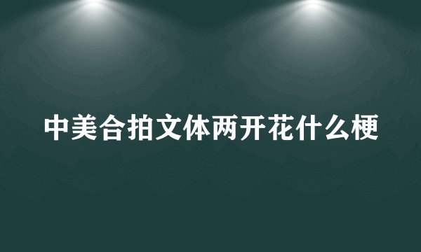 中美合拍文体两开花什么梗