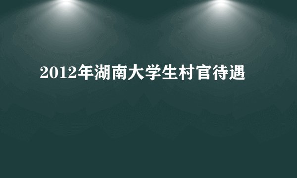 2012年湖南大学生村官待遇
