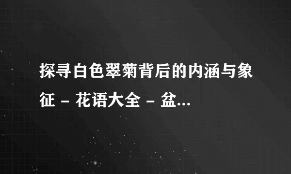 探寻白色翠菊背后的内涵与象征 - 花语大全 - 盆栽百科网