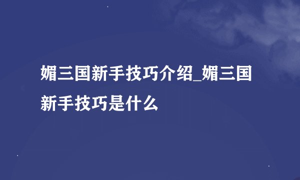 媚三国新手技巧介绍_媚三国新手技巧是什么