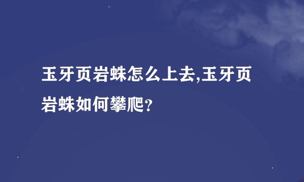 玉牙页岩蛛怎么上去,玉牙页岩蛛如何攀爬？
