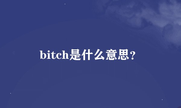 bitch是什么意思？