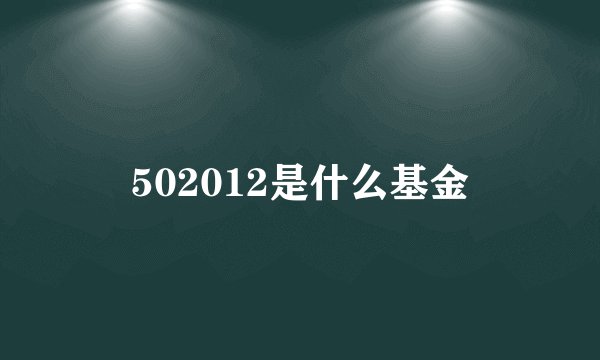 502012是什么基金