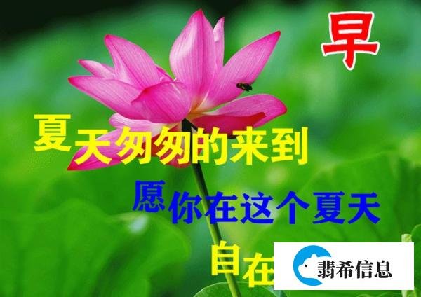 2021年非常阳光早安问候语 创意又美好的早上好图片大全带字合集