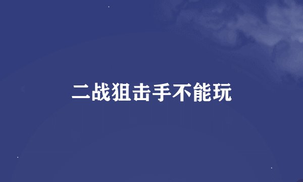 二战狙击手不能玩