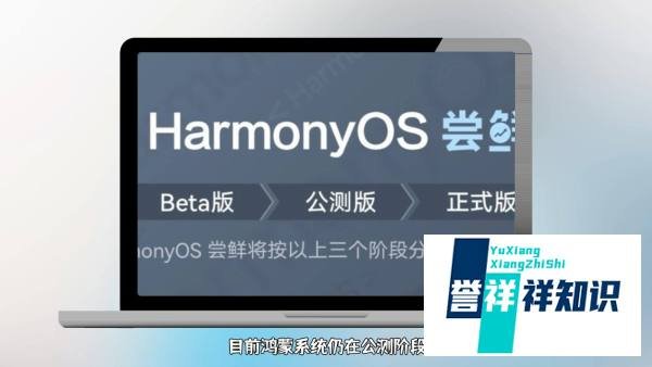 华为mate20怎么升级鸿蒙系统