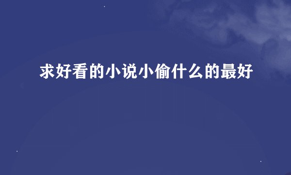 求好看的小说小偷什么的最好