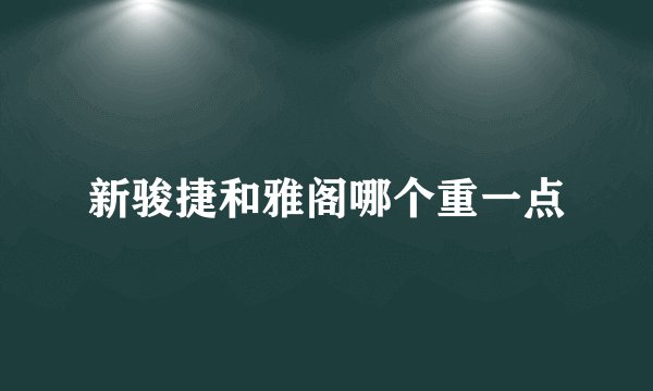 新骏捷和雅阁哪个重一点