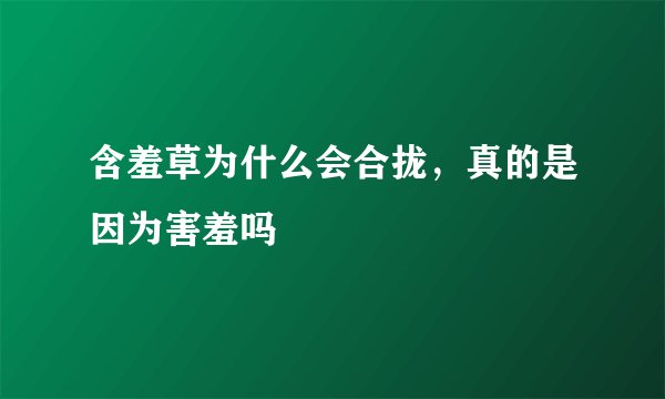 含羞草为什么会合拢，真的是因为害羞吗