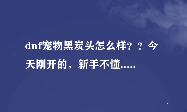 dnf宠物黑炭头怎么样？？今天刚开的，新手不懂...........