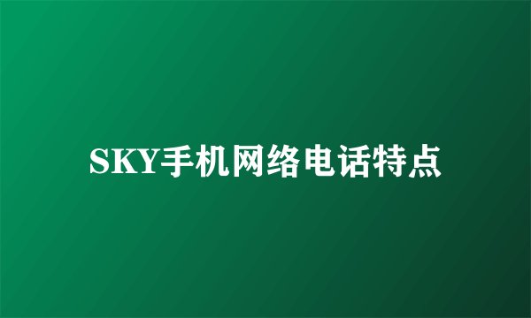 SKY手机网络电话特点