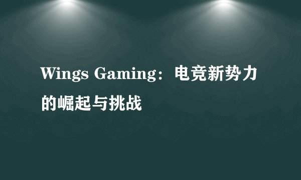 Wings Gaming：电竞新势力的崛起与挑战