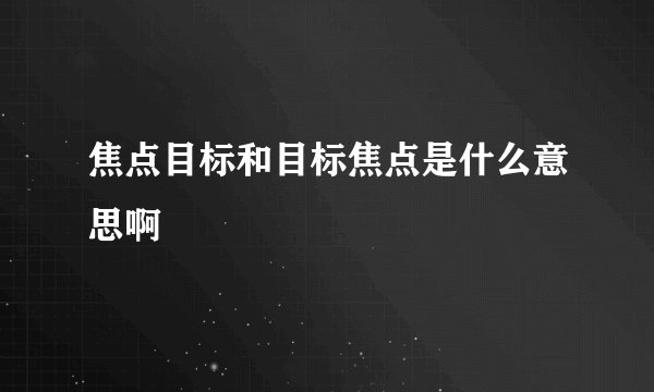 焦点目标和目标焦点是什么意思啊