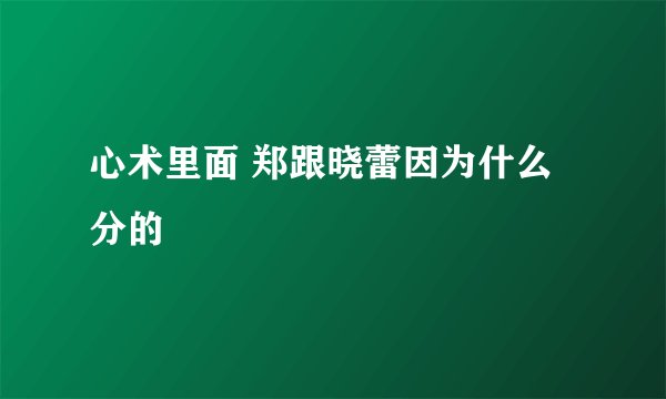 心术里面 郑跟晓蕾因为什么分的
