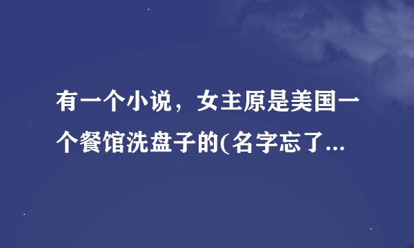 有一个小说，女主原是美国一个餐馆洗盘子的(名字忘了)男主叫雷诺，中美混血，妈妈姓阮，台湾的记者，跟...