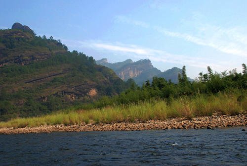 农夫山泉“毁林取水”是真的吗?