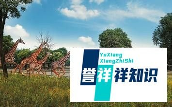 上海有什么好玩的-玩在上海（一）