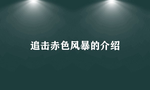 追击赤色风暴的介绍