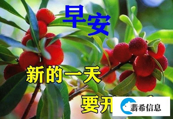 2021年非常阳光早安问候语 创意又美好的早上好图片大全带字合集