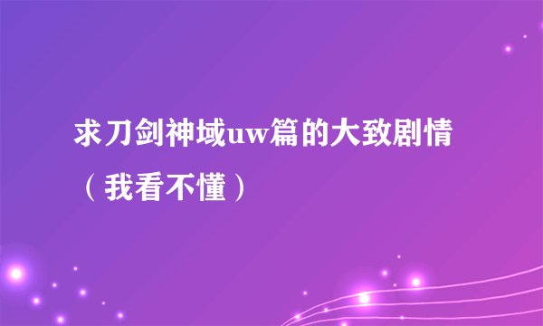 求刀剑神域uw篇的大致剧情（我看不懂）