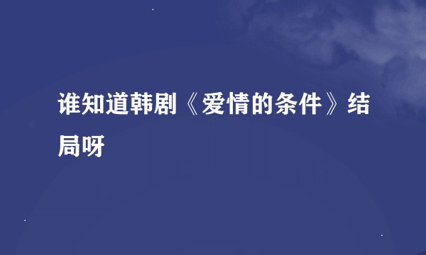 谁知道韩剧《爱情的条件》结局呀