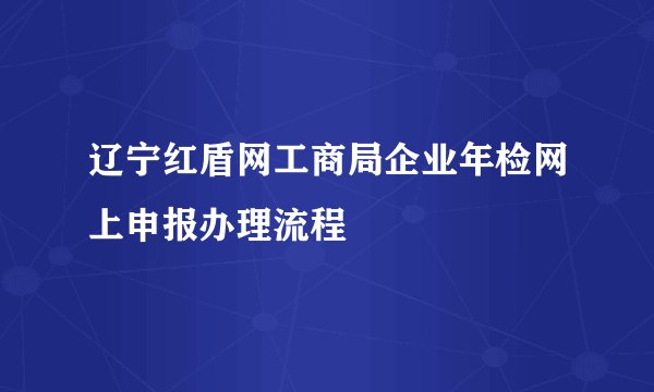 辽宁红盾网工商局企业年检网上申报办理流程