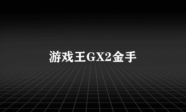 游戏王GX2金手