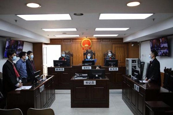 女子被天降大狗砸瘫,获赔超百万,哪些人员成了被告人?