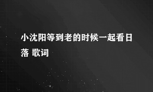 小沈阳等到老的时候一起看日落 歌词