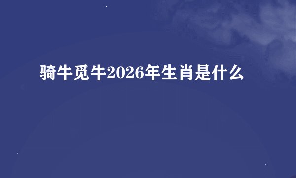 骑牛觅牛2026年生肖是什么