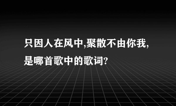 只因人在风中,聚散不由你我,是哪首歌中的歌词?