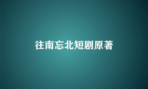 往南忘北短剧原著