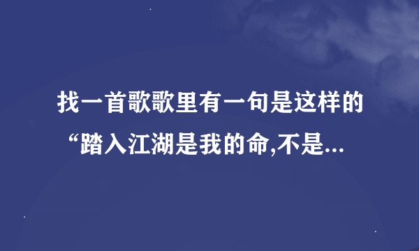 找一首歌歌里有一句是这样的“踏入江湖是我的命,不是甘愿做坏子，做兄弟。。。”有人知道吗那首歌叫什么