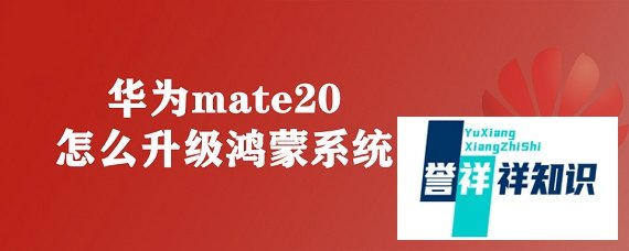 华为mate20怎么升级鸿蒙系统