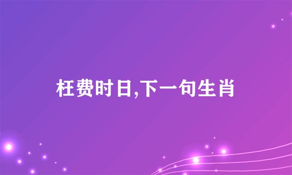 枉费时日,下一句生肖