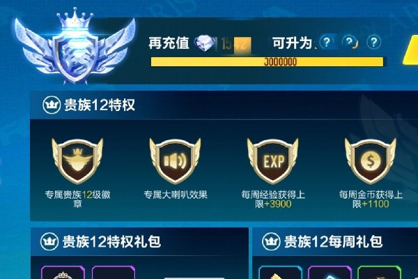 qq飞车精英等级在哪看