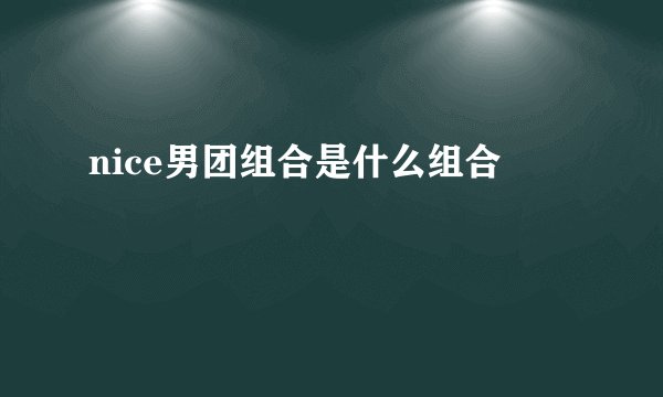 nice男团组合是什么组合